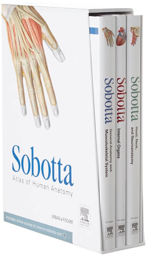 sobotta atlas of human anatomy pdf download