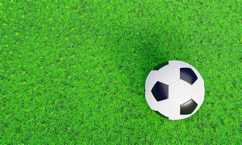 Soccer Ball Grass Background