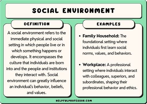 social environment examples