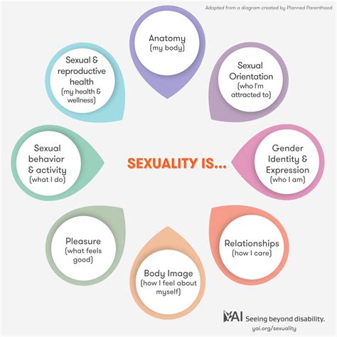 social factors that influence sexuality