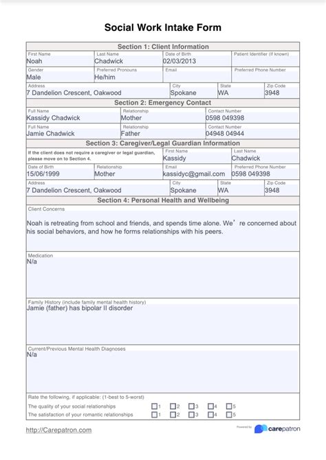 social services intake form template