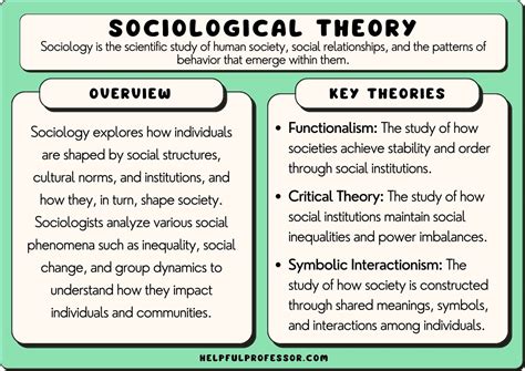 sociological theory definition and examples