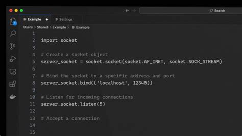Socket Accept Example