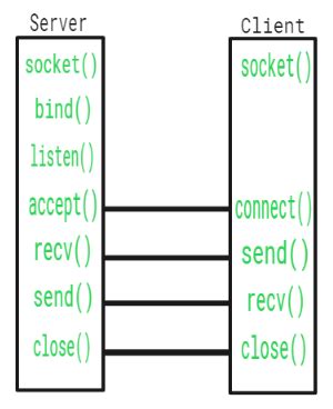 Socket Address Structure In Computer Network
