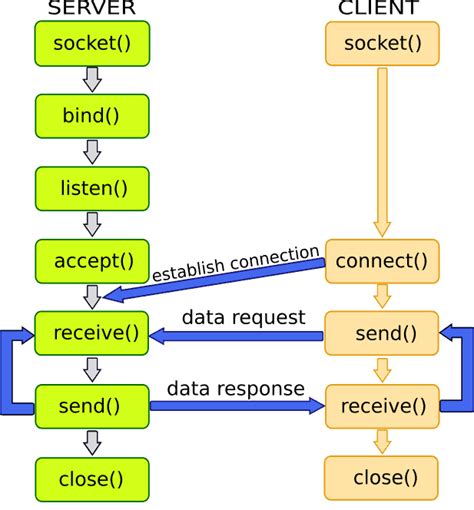 Socket Bind Listen Accept Example