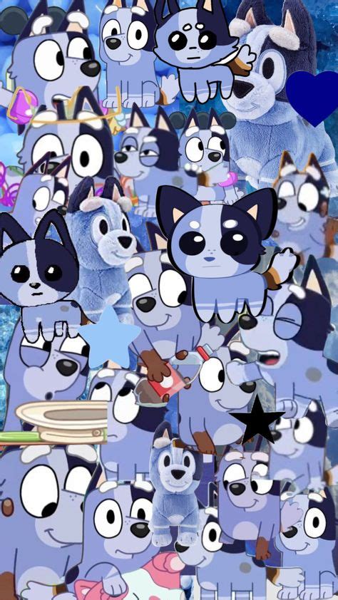 Socks For 1 Theme Song