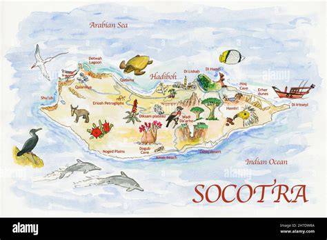 L'île de Socotra, joyau du Yémen
