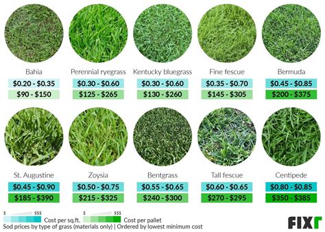 sod installation cost