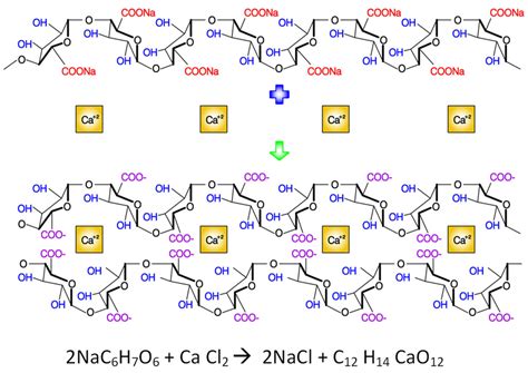 Schematic crosslinking of the alginates and calcium cations in eggbox