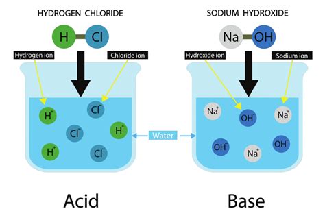 What are some examples of acids and alkalis in everyday life? Quora