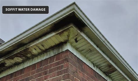 Soffit Damage Inspection