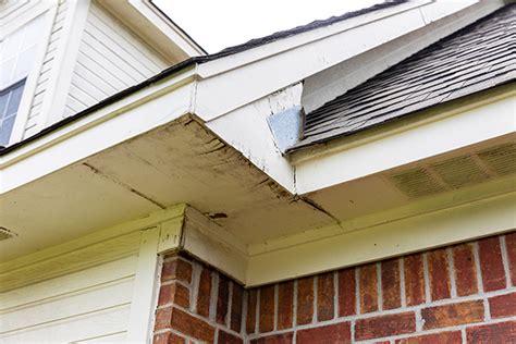 Soffit Damage Signs