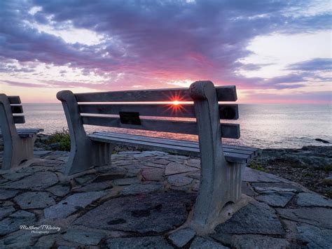 sofie asiariggsx matthew rainey