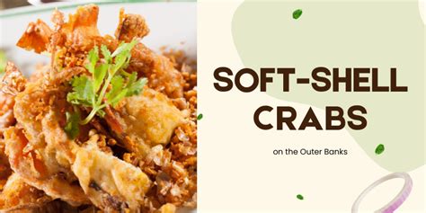 Soft Shell Crabs Outer Banks