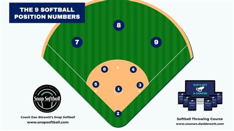 softball field diagram with positions
