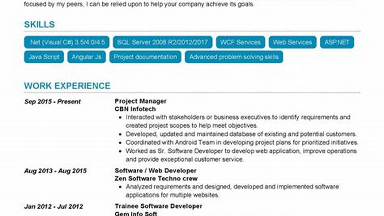 Software Manager Resume Template: A Comprehensive Guide