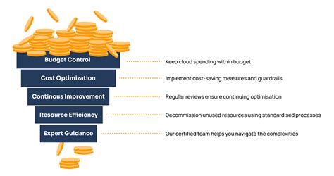 Software Cost Optimization
