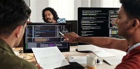 software developer and software tester