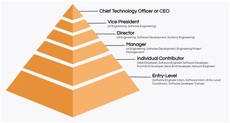 software developer hierarchy