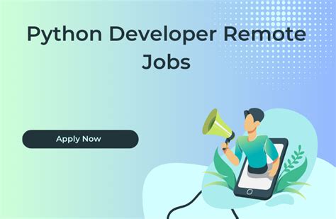 software developer python jobs remote