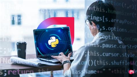 software developer with python