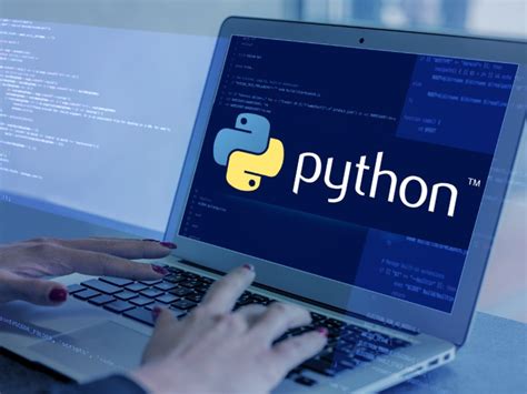 software engineer python developer productivity