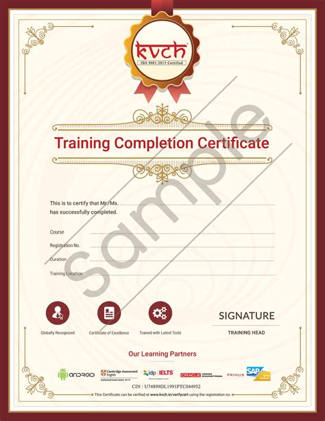 software testing course fees in noida
