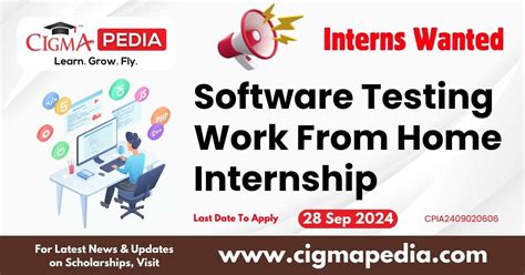 +11 Software Testing Internship Work From Home Updated