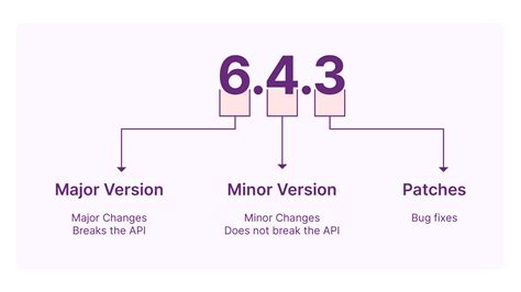 software version best practices