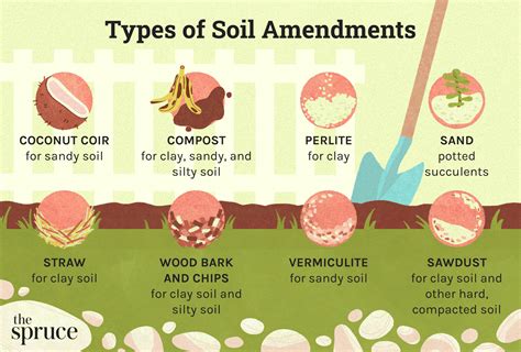 Soil Amendments Examples