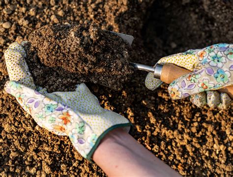 Soil For Backyard
