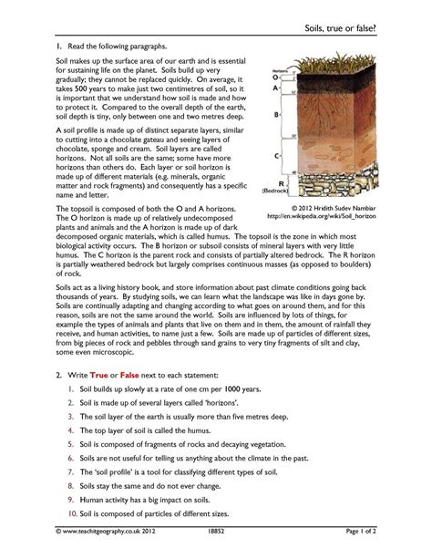 soil formation review worksheet answers
