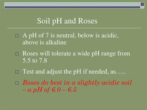 soil ph for roses