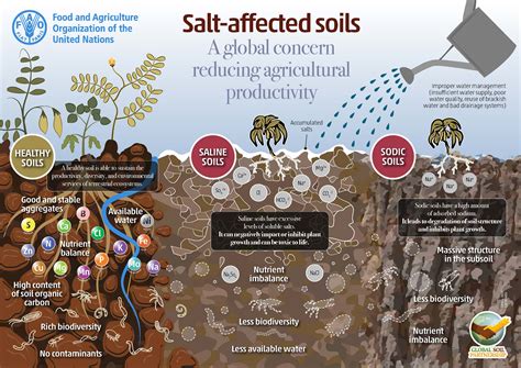 soil salinization ap human geography