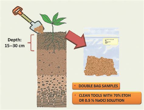 soil sampling and analysis pdf