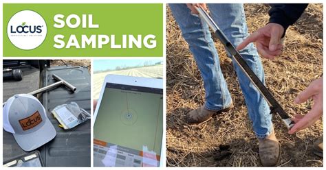 soil sampling procedure in agriculture