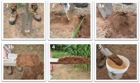 soil sampling procedure step by step