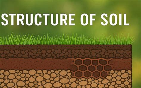 Soil Structure For Gardens