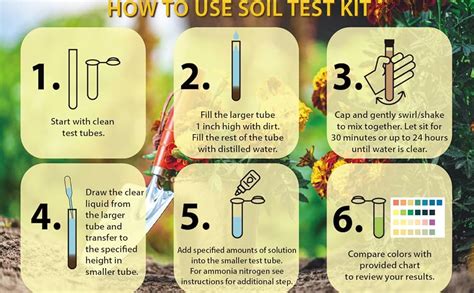 Soil Test For Vegetable Garden
