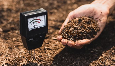 Soil Testing Kits Reviews