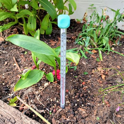 Soil Thermometer Structure