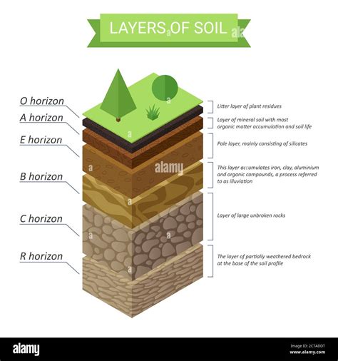 Premium Vector Soil layers diagram earth texture, stones. ground with