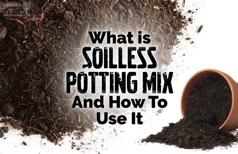 What Is Soilless Potting Mix and Why Is It So Important?