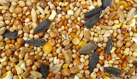 Sol Rosenberg Bird Seed Ecotrition Ecotrition Vita For s Vitamins