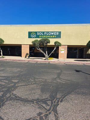 sol flower tucson