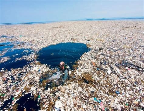 Watch Sol Mar De Plastico Update