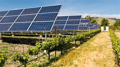 solar panels mexico farming