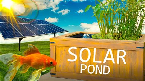 Solar System For Fish Pond