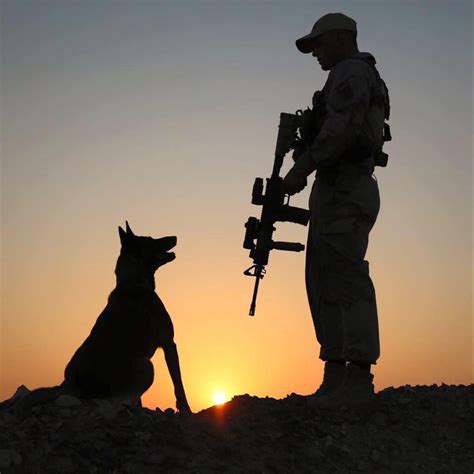 soldier and dog silhouette