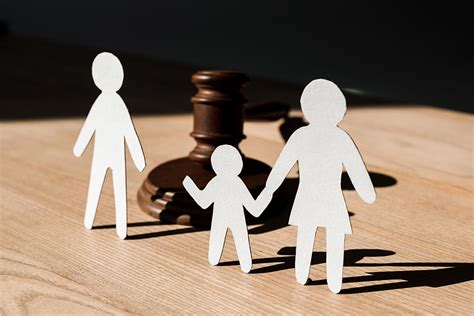 Sole Custody Que Significa